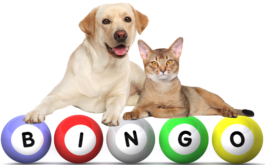 MCHS events support our work