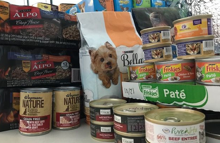 How to help MCHS and cats/dogs in need