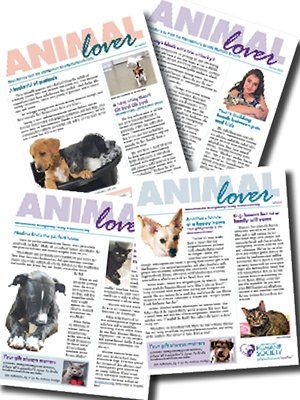 Animal Lover Newsletters
