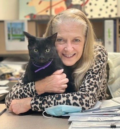 Beagle puppy in a brown coat on a snowy path, on a leash.