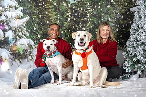 Holiday pet portraits