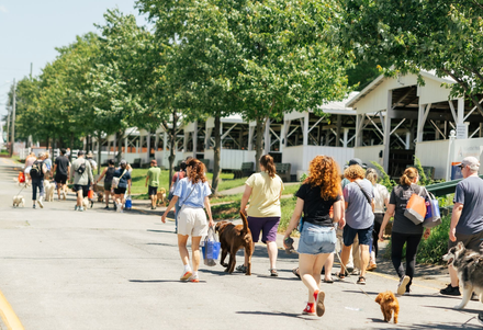 MCHS events support our work