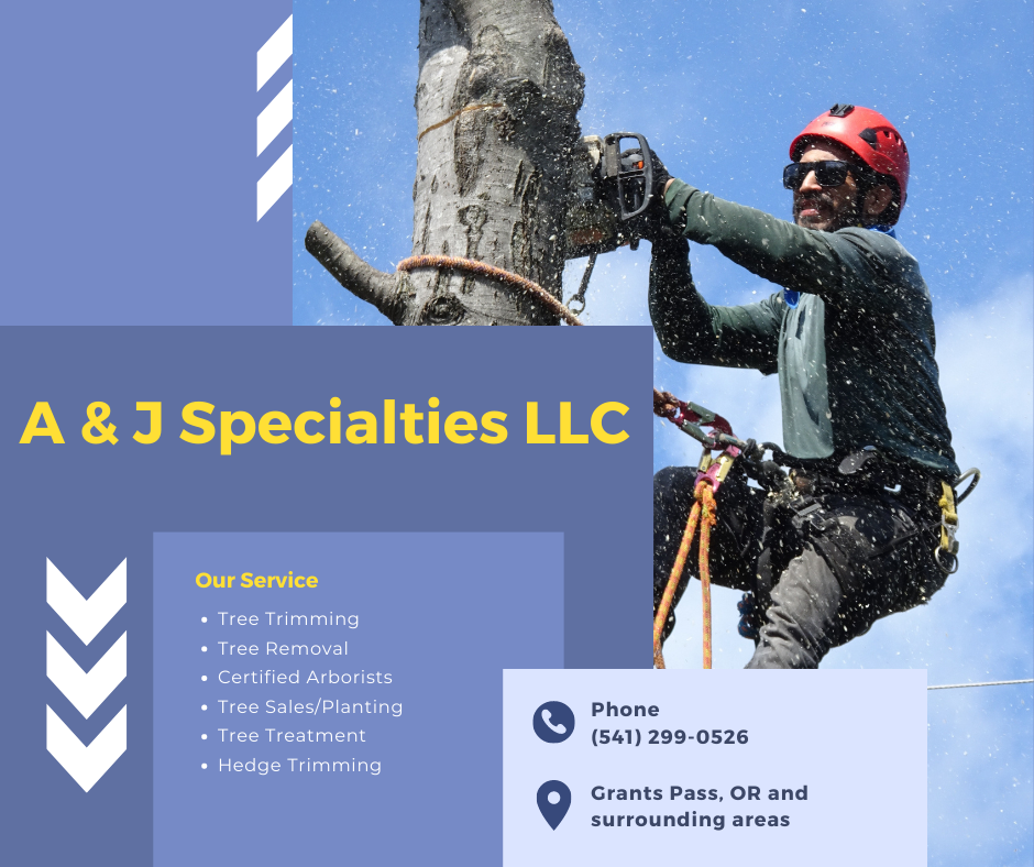 Discover Excellence in Tree Care with A & J Specialties