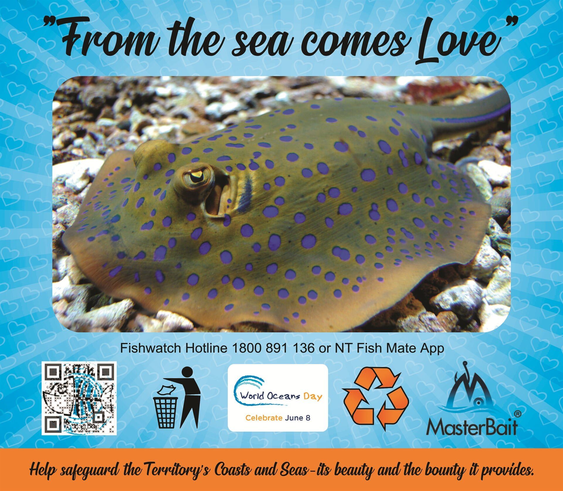 The Blue Spotted Ribbon Tail Ray | MasterBait