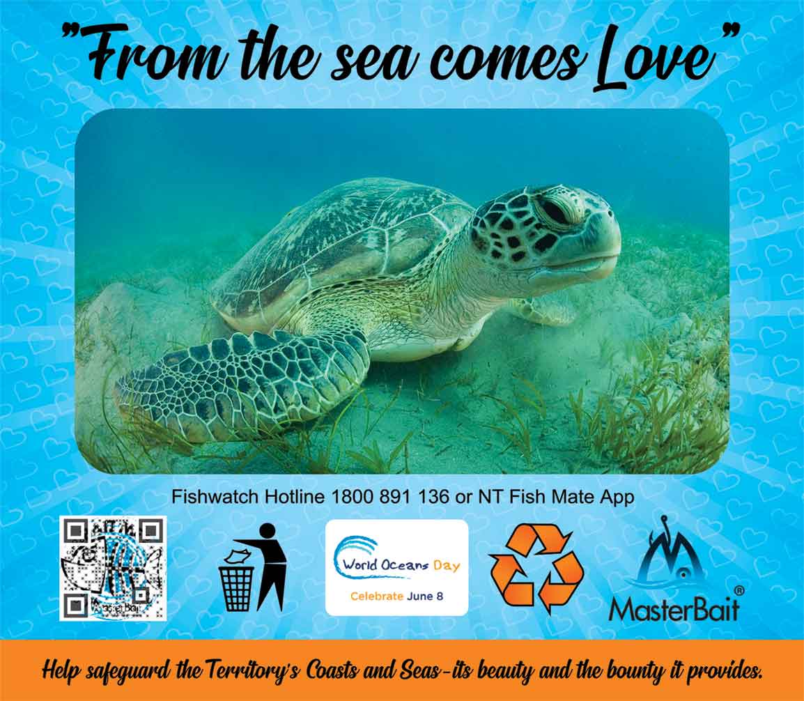 The Green Turtle | MasterBait