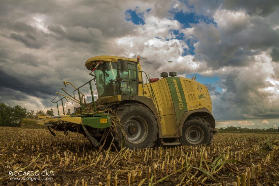 bonifiche e coltivazione di terreni agricoli