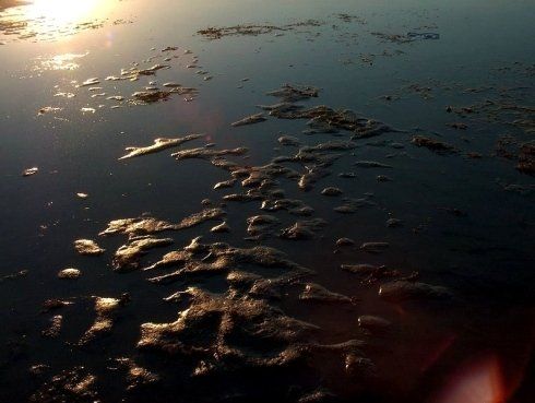 servizi idrogeologici