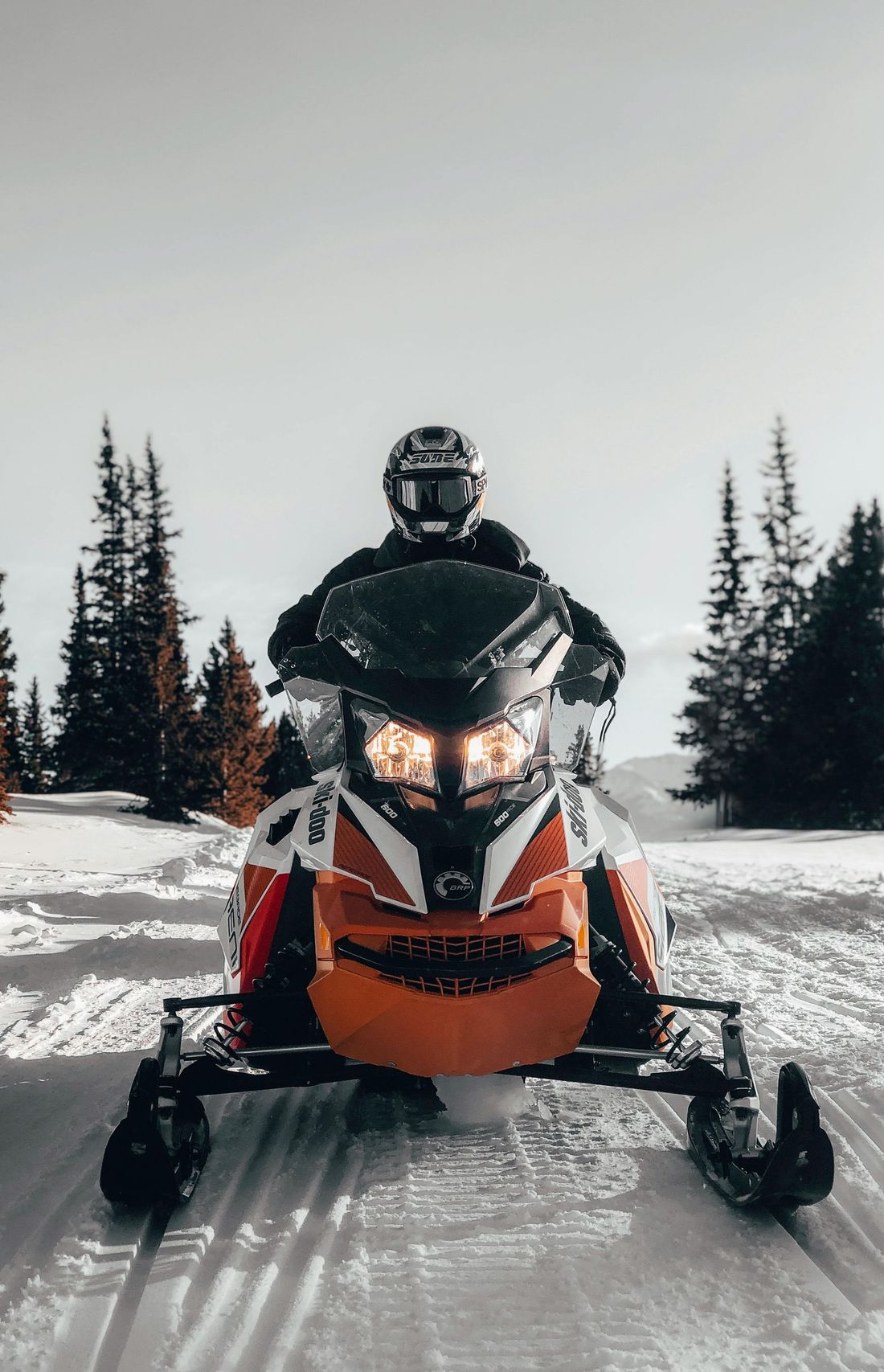 A person rides a snowmobile on a snowy path surrounded by evergreen trees under a bright sky.