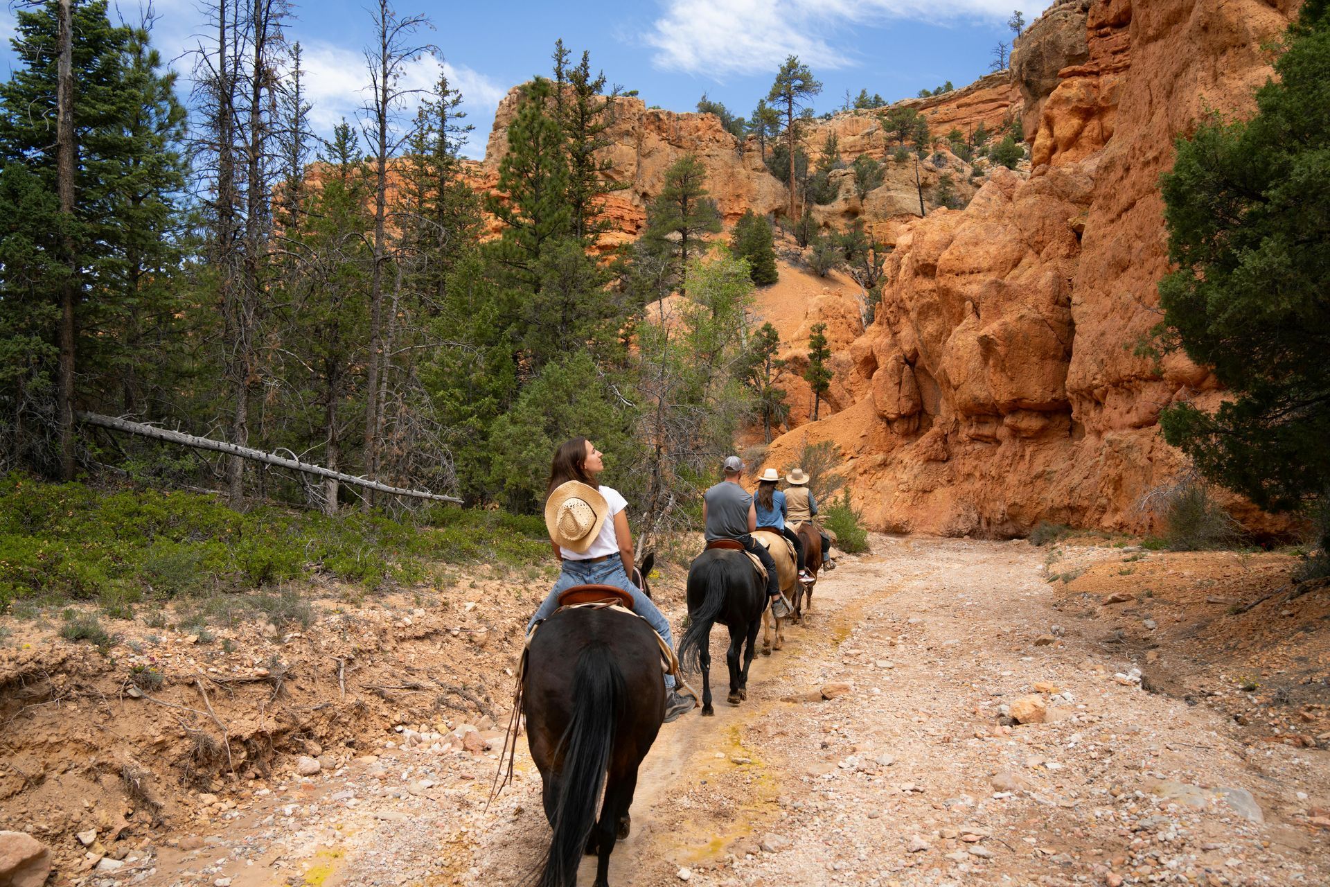People on horseback ride through a canyon with red rock walls and sparse trees under a blue sky.