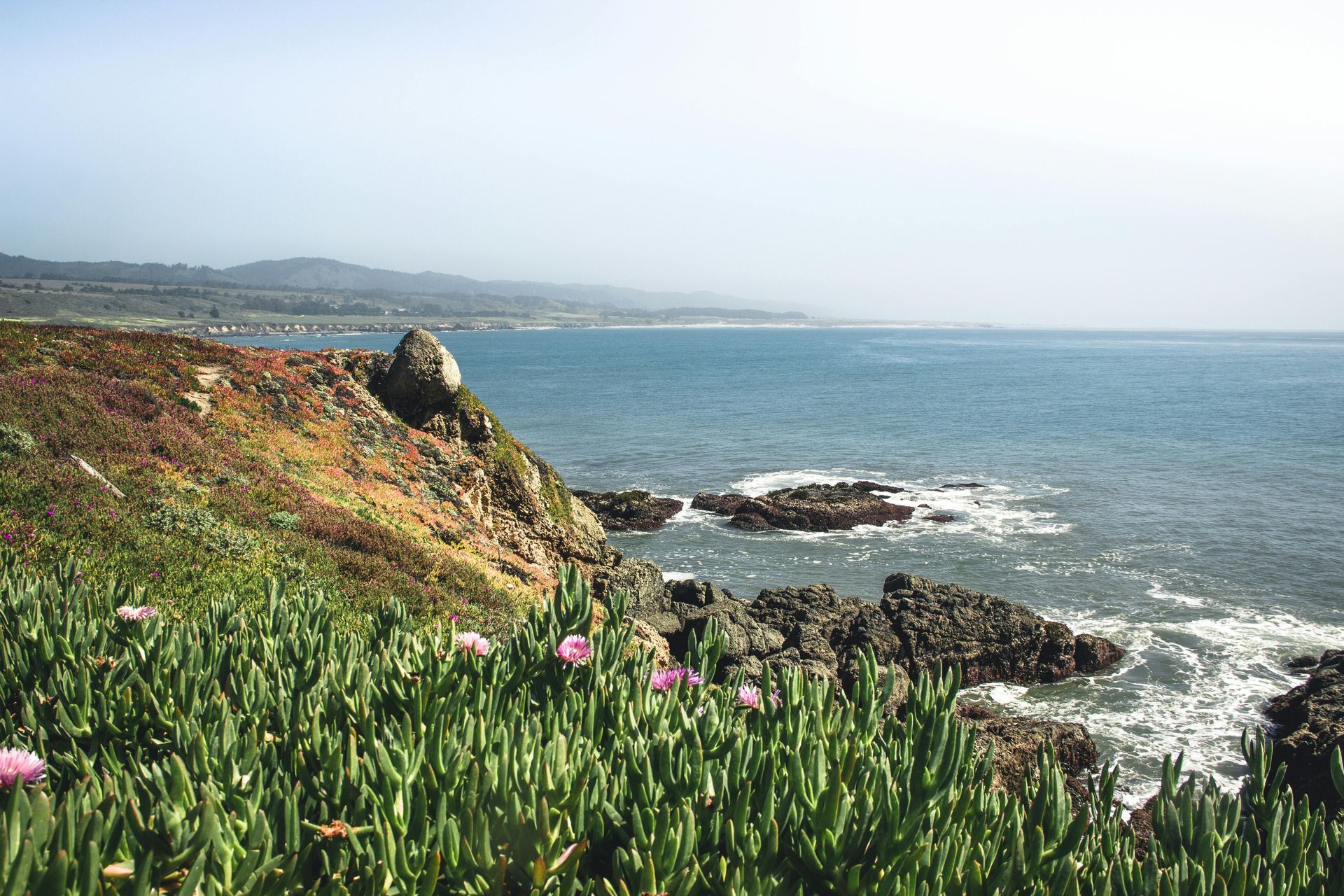Rocky California coastline with ocean view, green and purple vegetation, bright sky.
