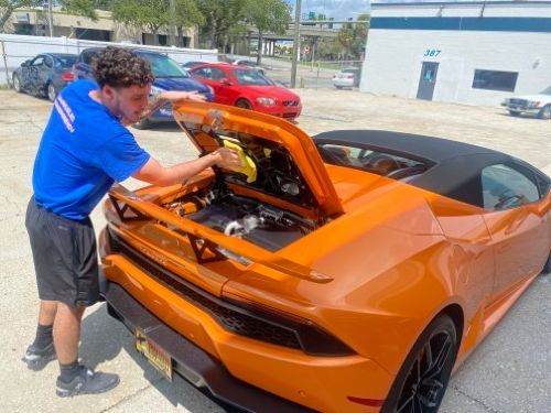 Mason cleaning the hood of a Lamborghini