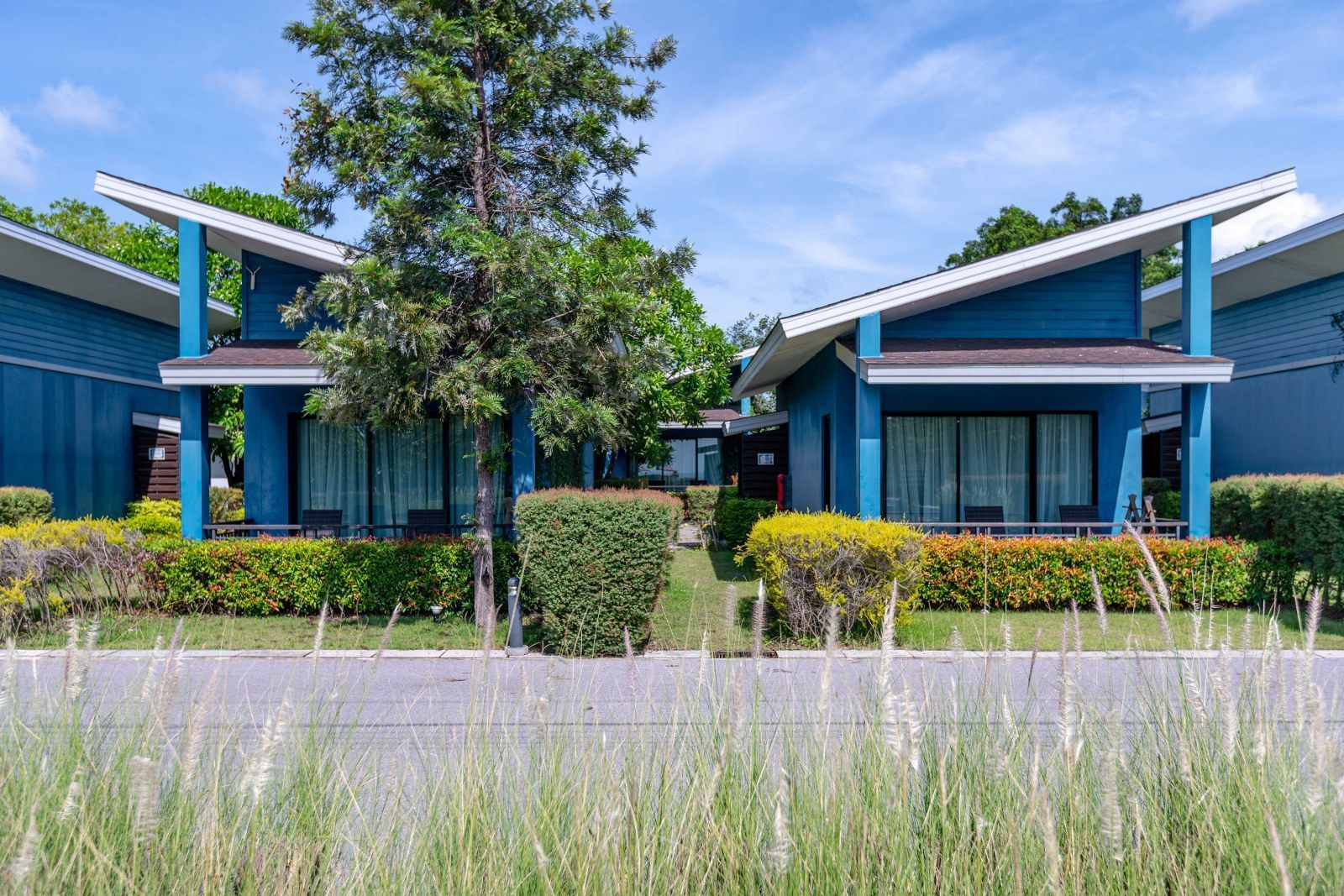 Blue bungalows with angled roofs, bordered by greenery and a grassy path.
