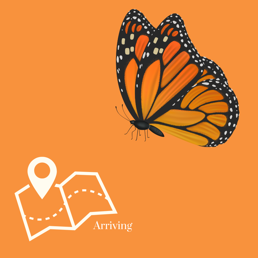 A woman wearing a flower crown and a map with the words arriving below her