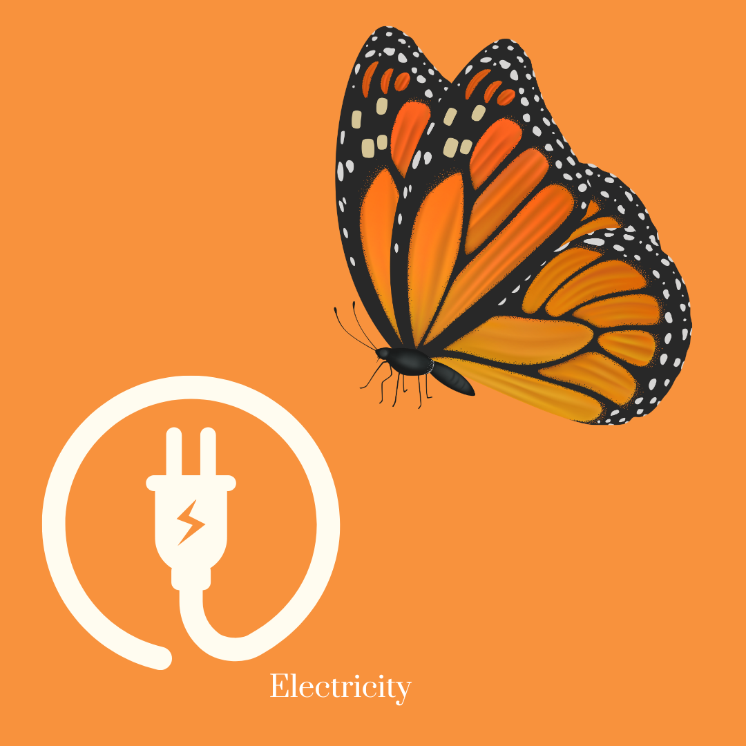 A woman wearing a flower crown has a plug in her hair