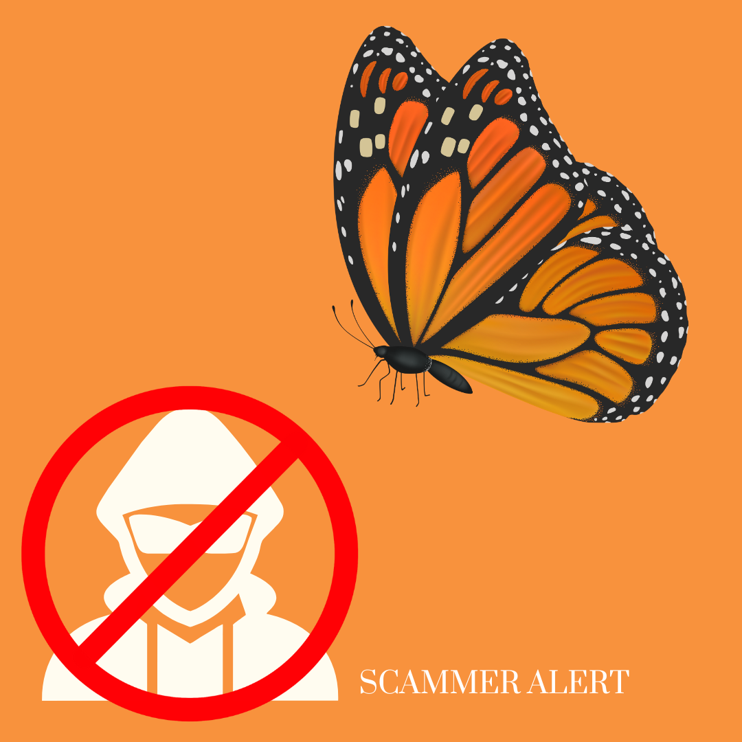 A woman wearing a flower crown has a red circle around her head that says scammer alert