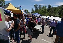 2025 Mariposa Butterfly Festival