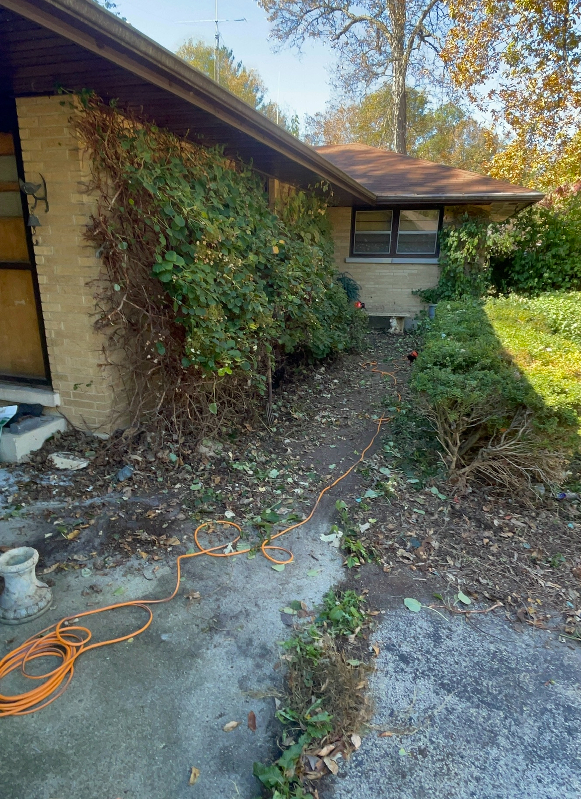A house with a lot of leaves on the ground and a hose in front of it.