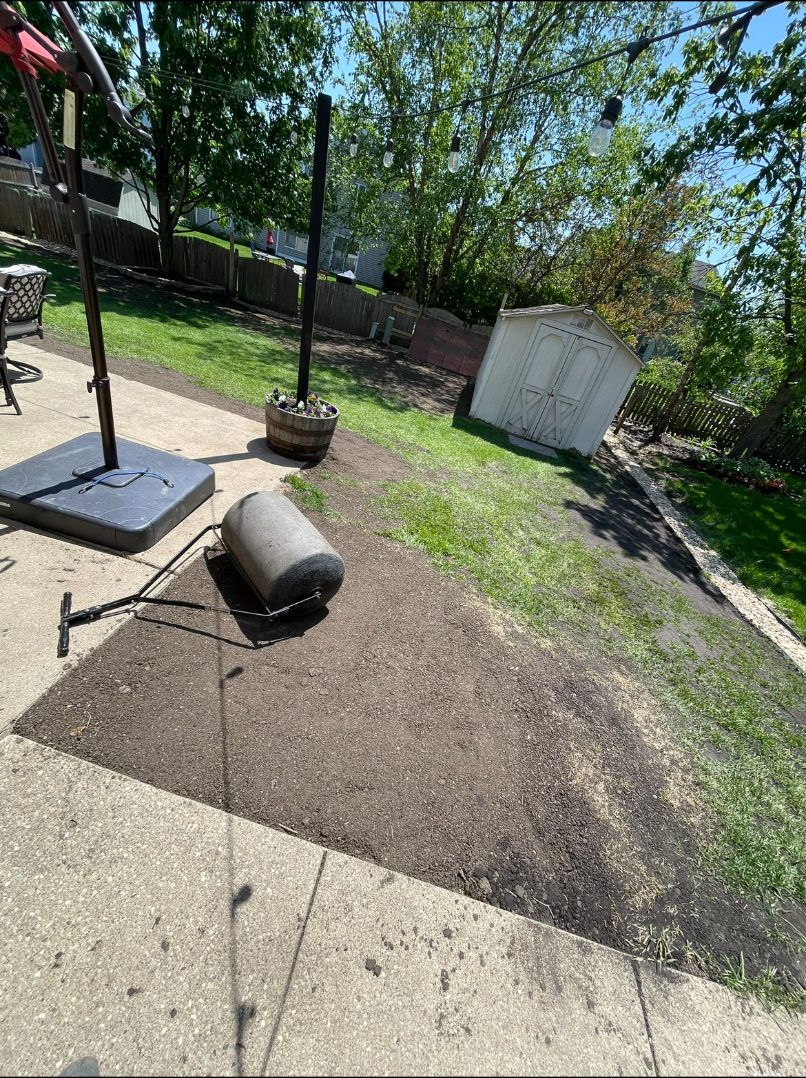 A patio with umbrellas and a shed in the background.