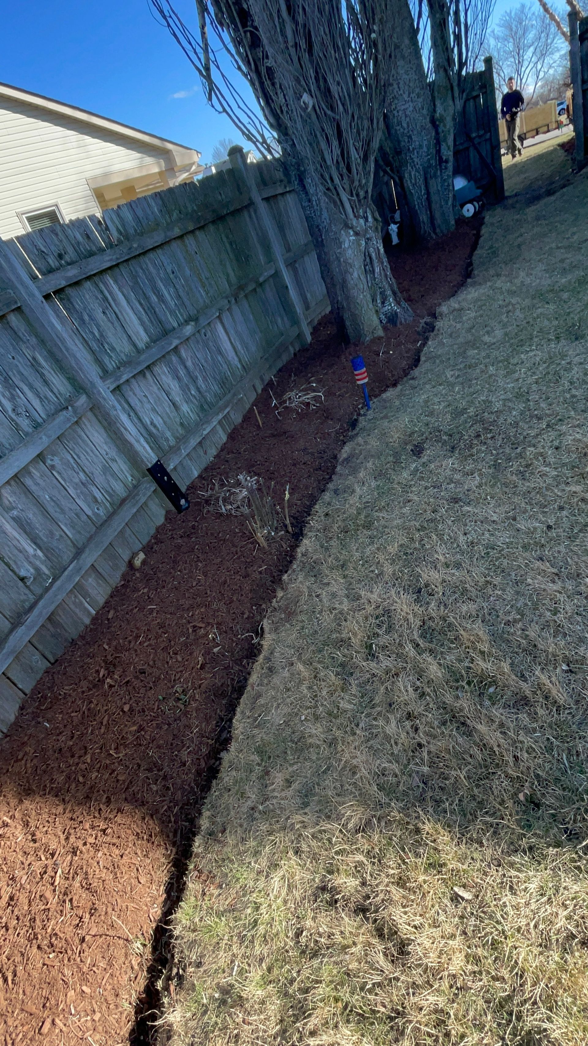 A wooden fence is surrounded by mulch and a tree.