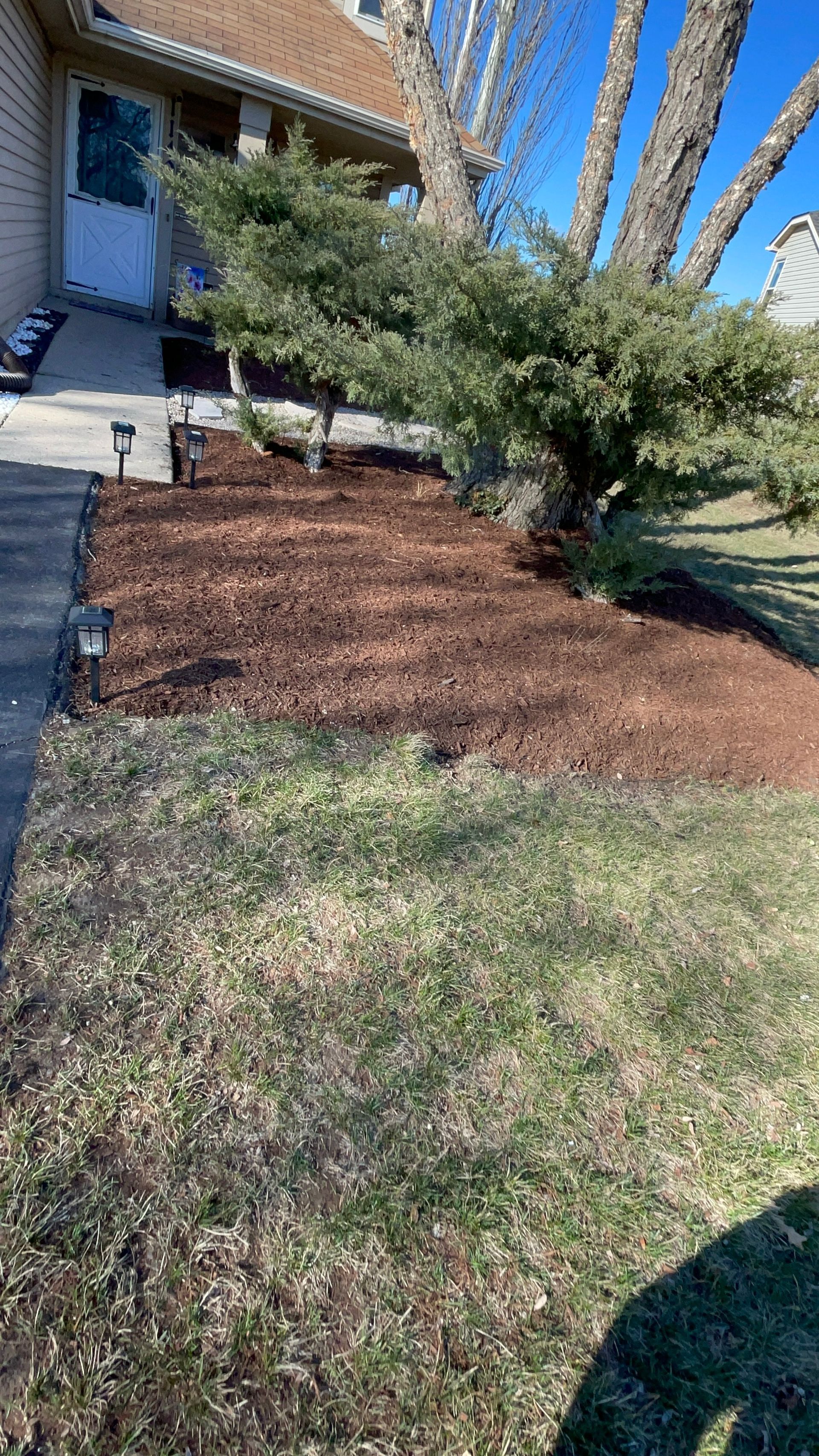 A yard with a tree and mulch in front of a house.