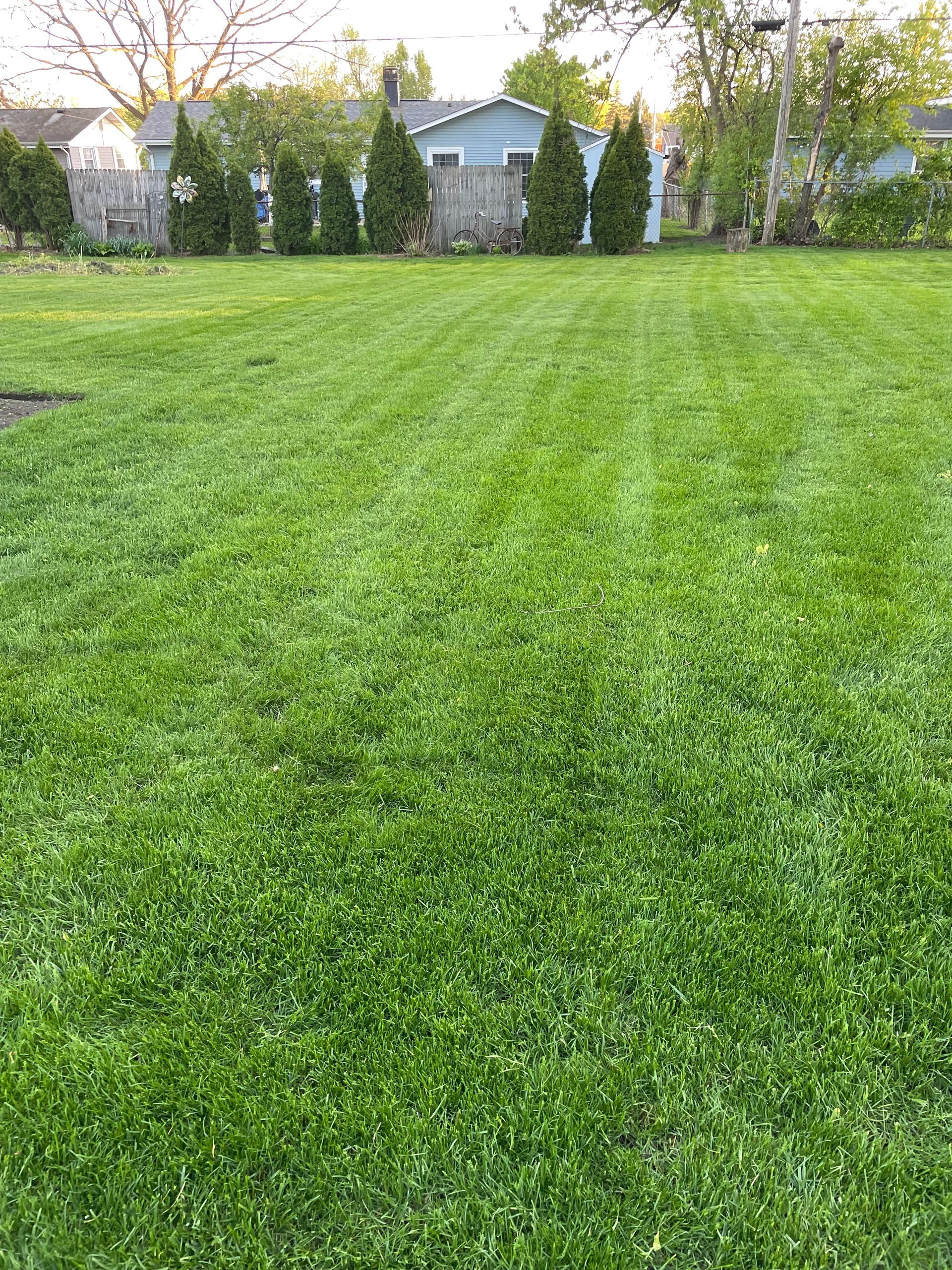 A lush green lawn with a blue house in the background.