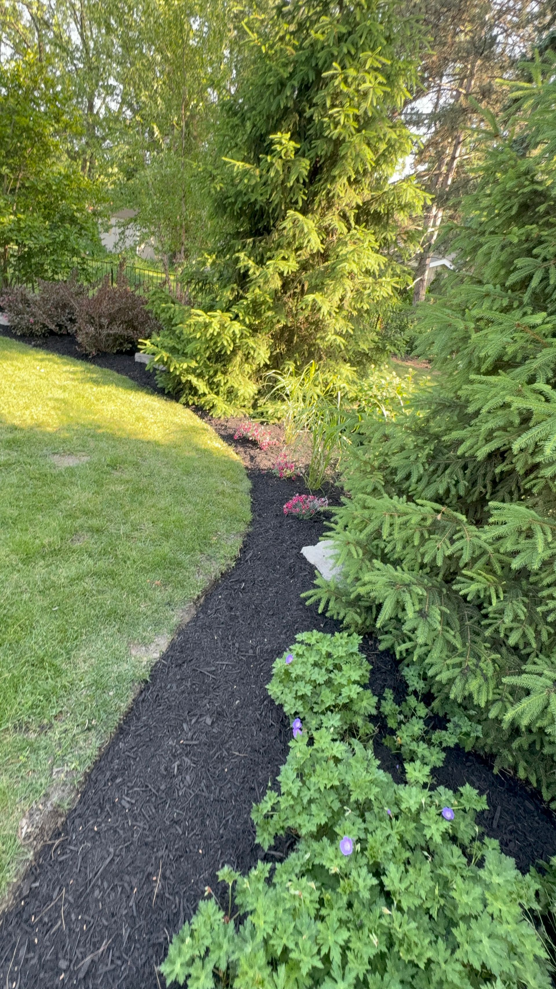 A path in the middle of a garden surrounded by trees and bushes.