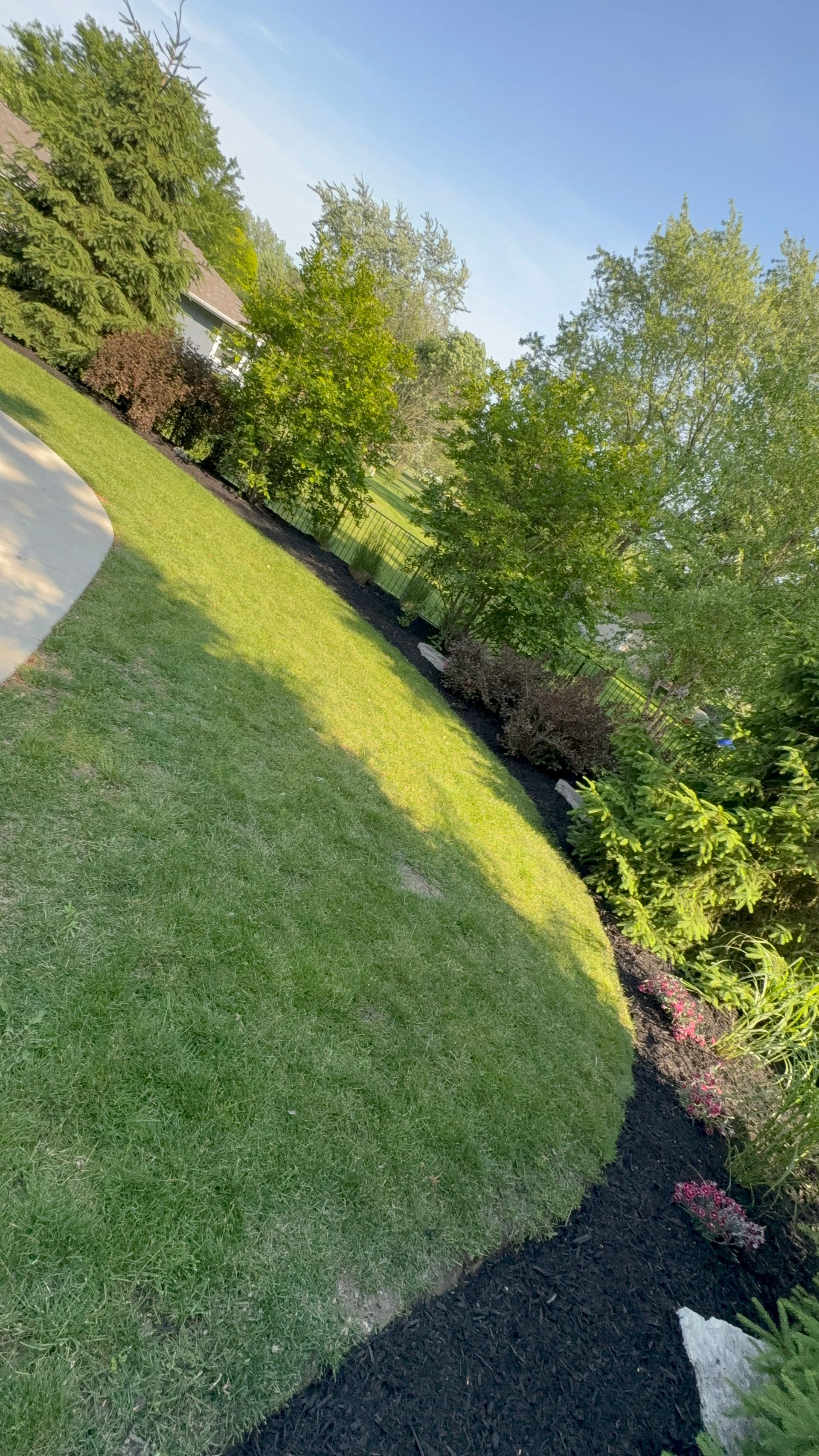 A person is walking down a lush green lawn next to a driveway.
