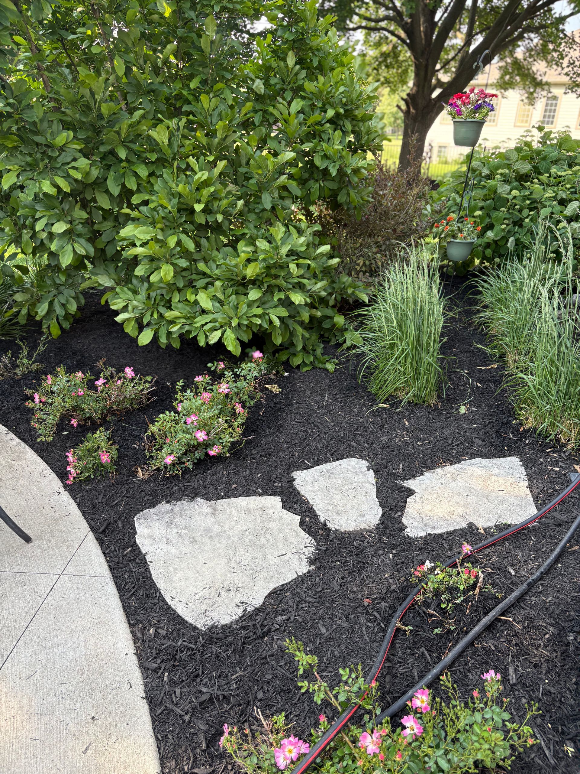 A stone walkway in a garden with flowers and a hose.