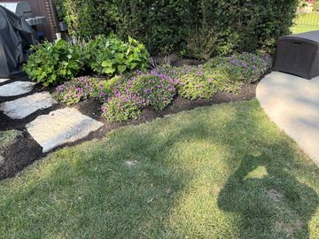 A lush green lawn with purple flowers and a stone walkway.