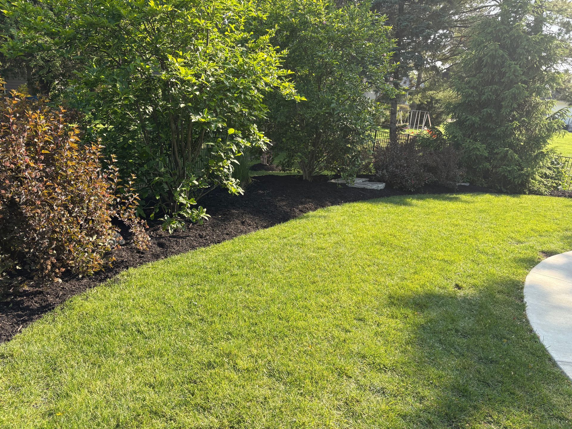 A lush green lawn with trees and bushes in the background and a sidewalk in the foreground.
