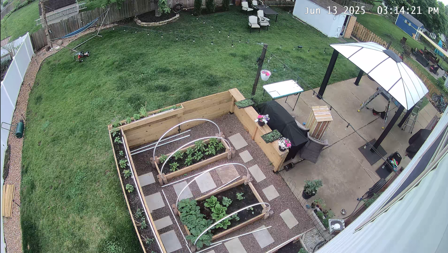 An aerial view of a backyard filled with lots of plants.