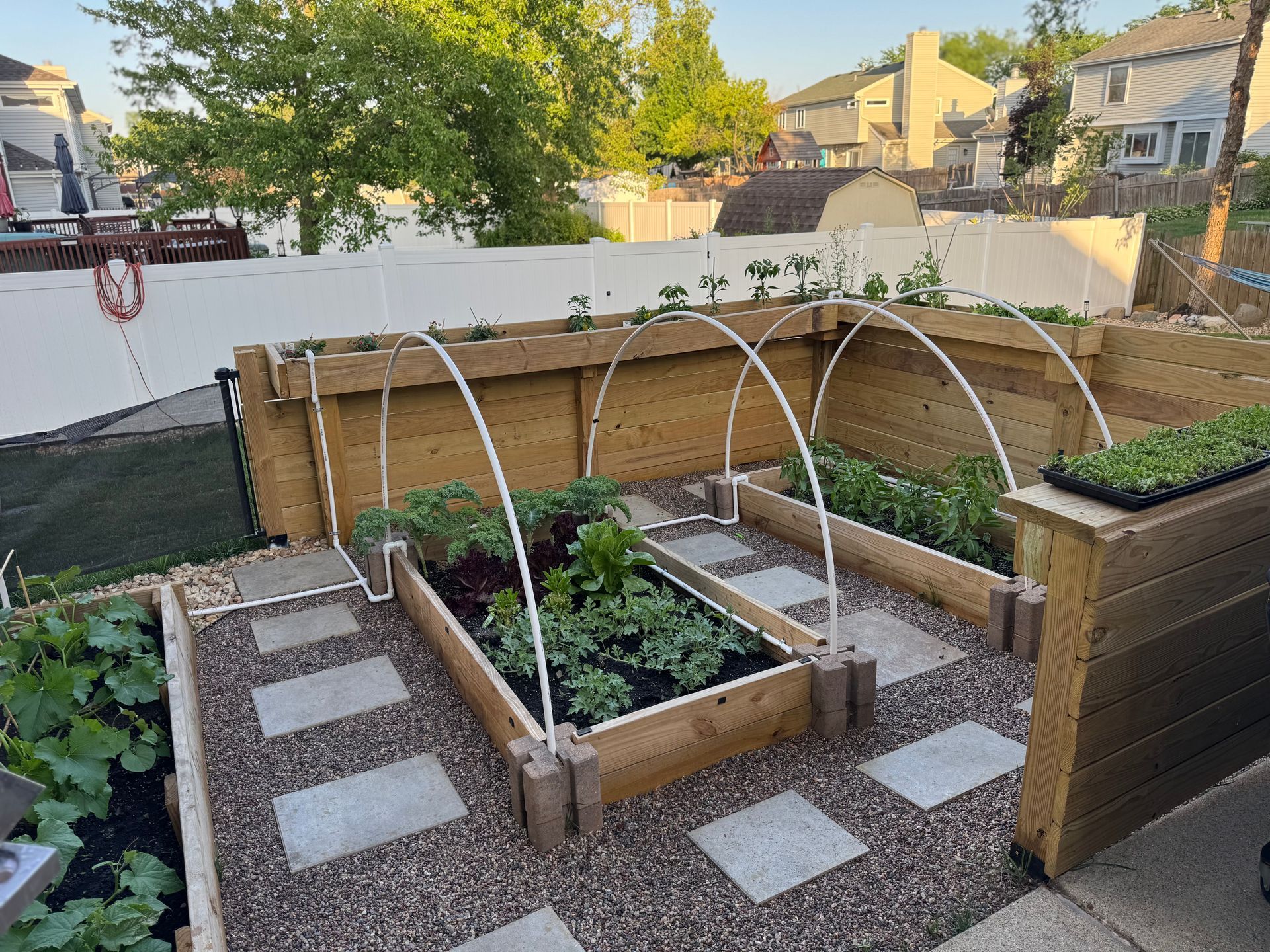 A garden with a lot of plants growing in it