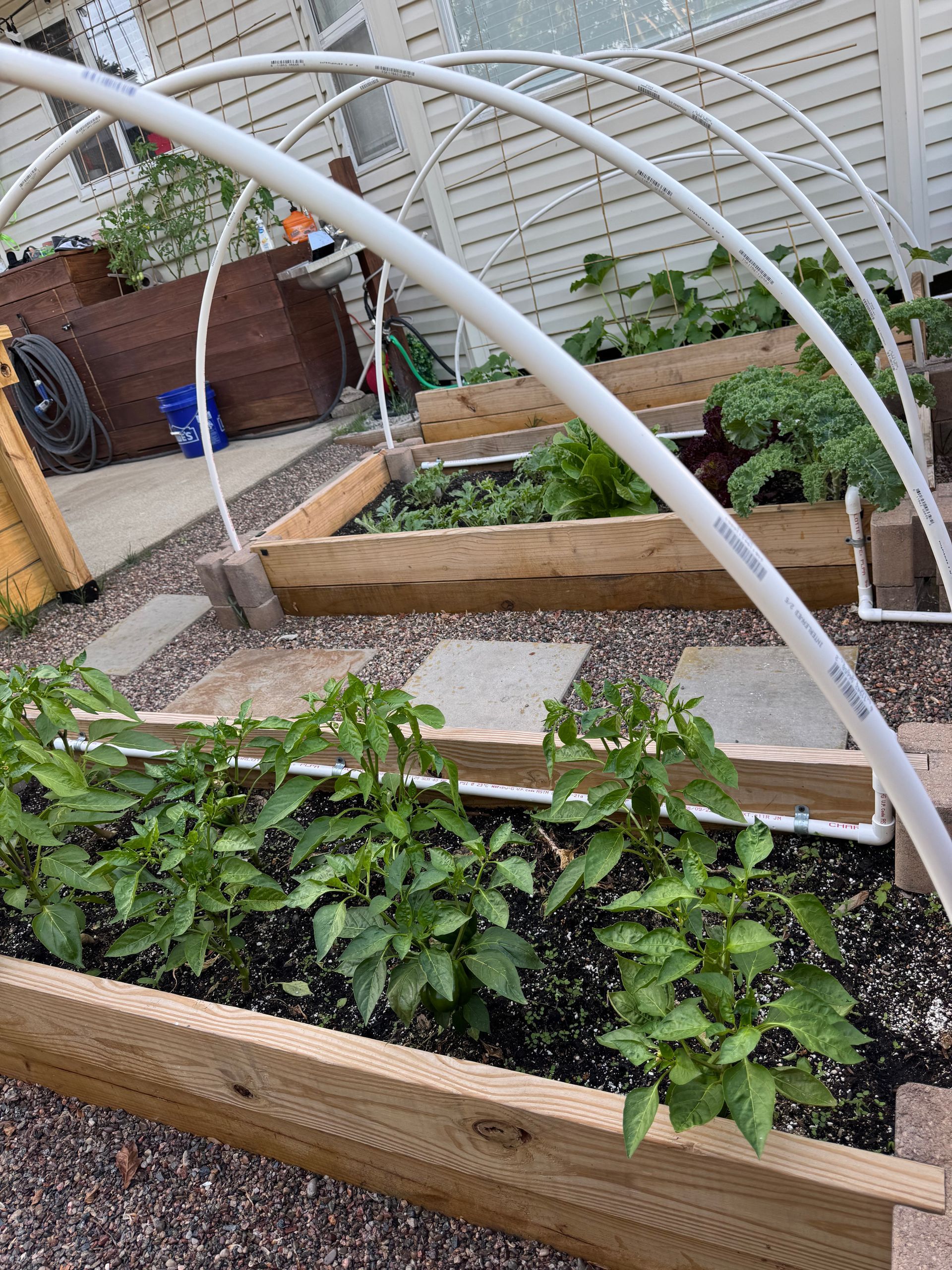 A greenhouse with plants growing inside of it in a garden.