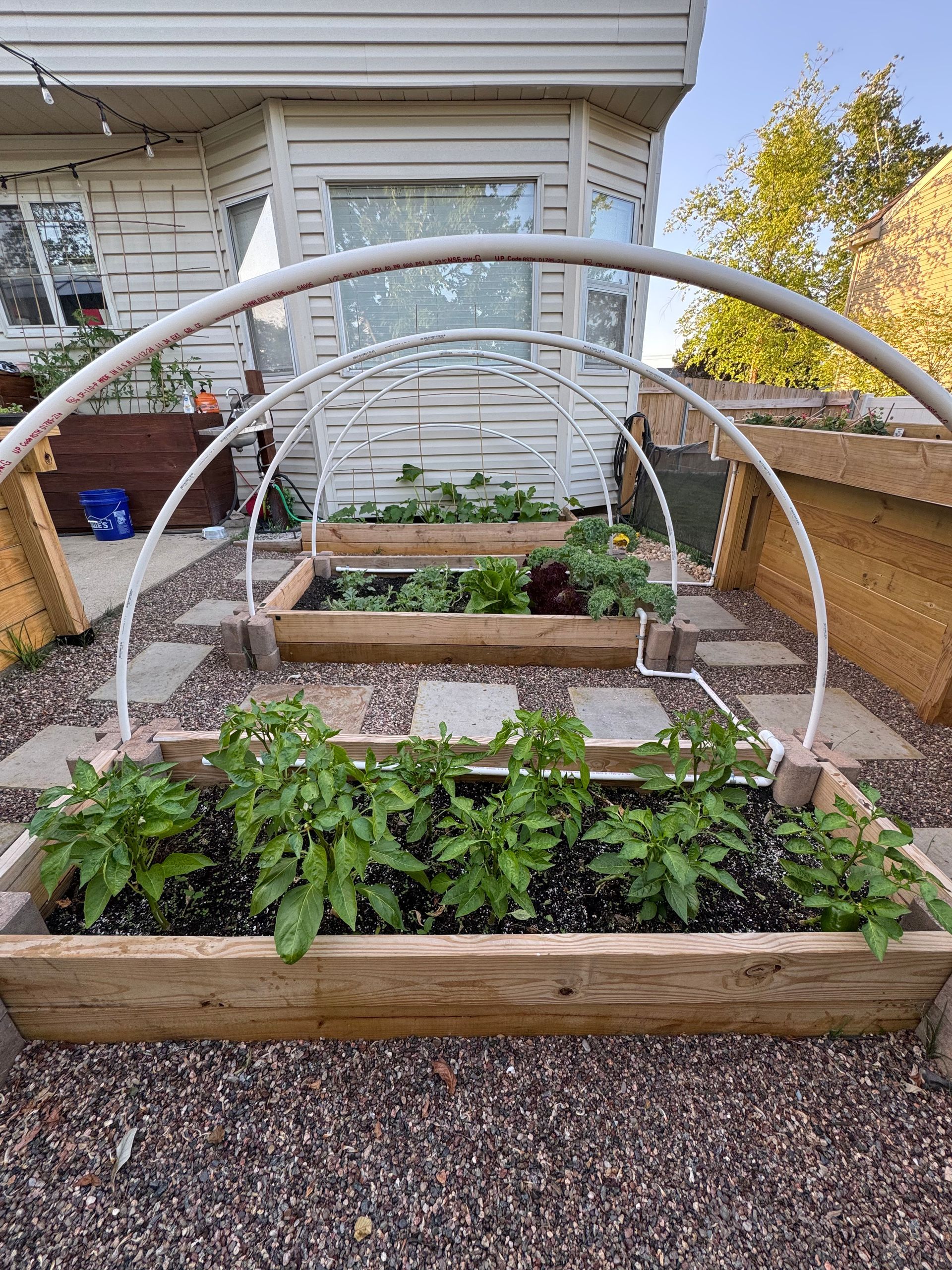 A garden with a greenhouse in the background and a house in the background.