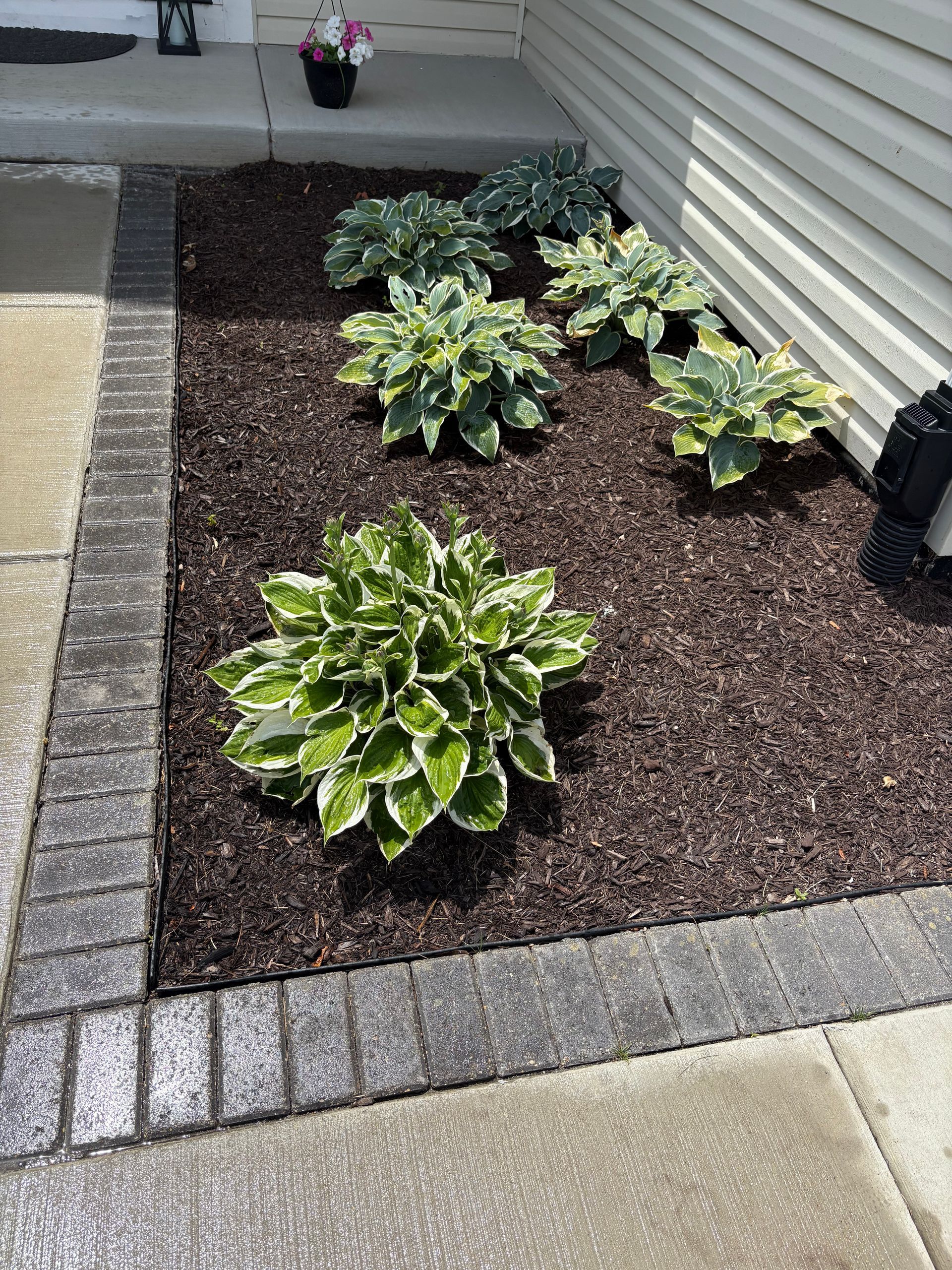 A garden with lots of plants and mulch in front of a house.