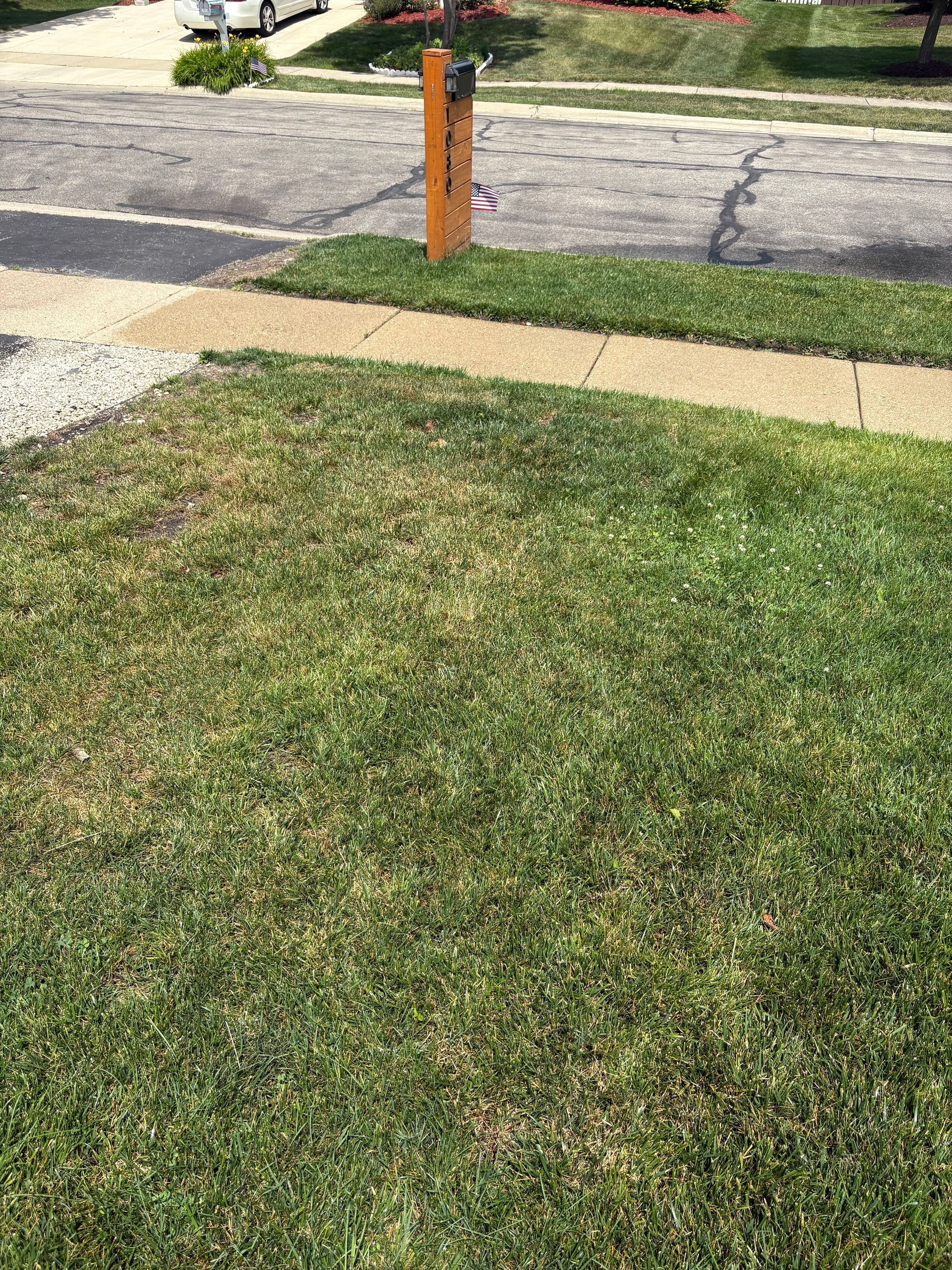 A lush green lawn with a wooden post in the middle of it.