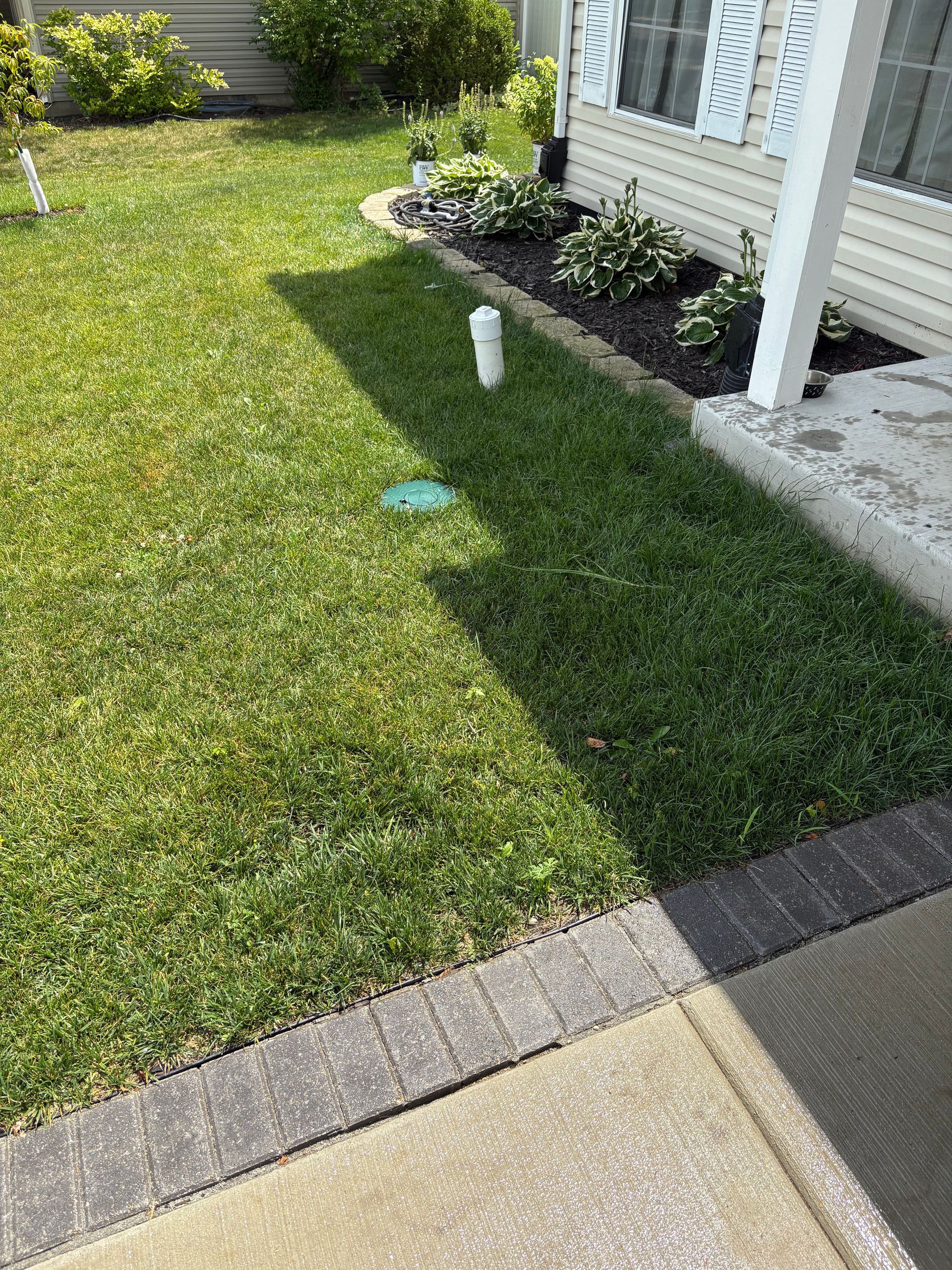 A lush green lawn next to a sidewalk and a house.