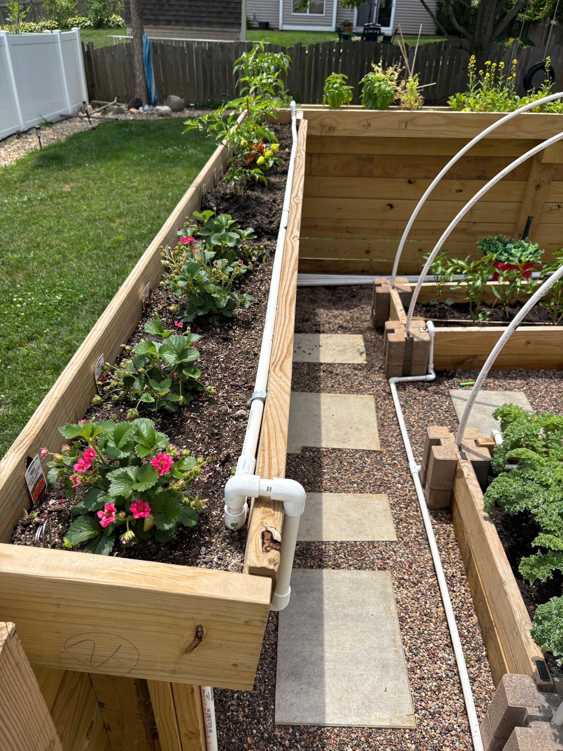 A wooden garden bed filled with flowers and plants in a backyard.