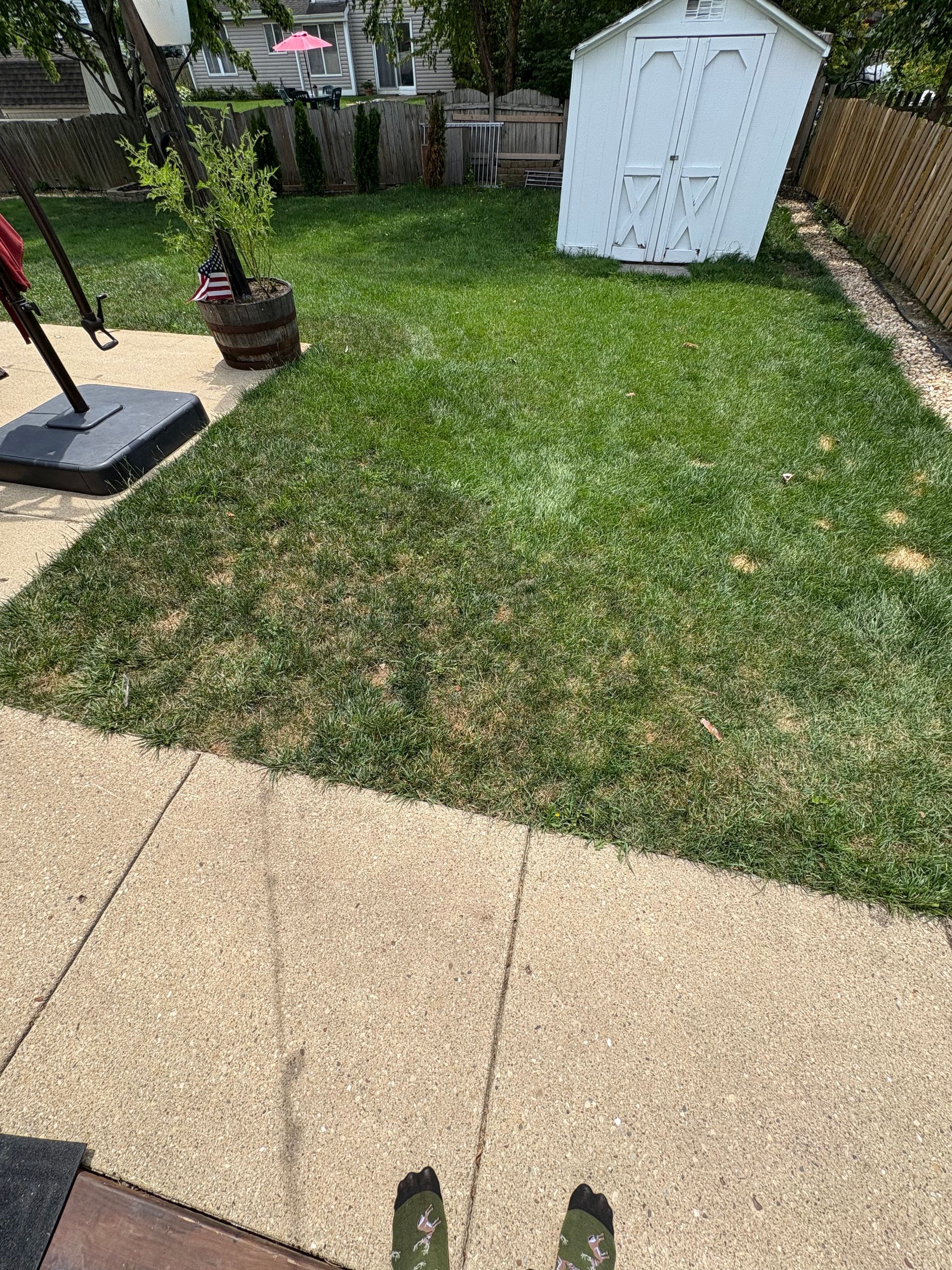 A person is standing on a patio in a backyard with a white shed.