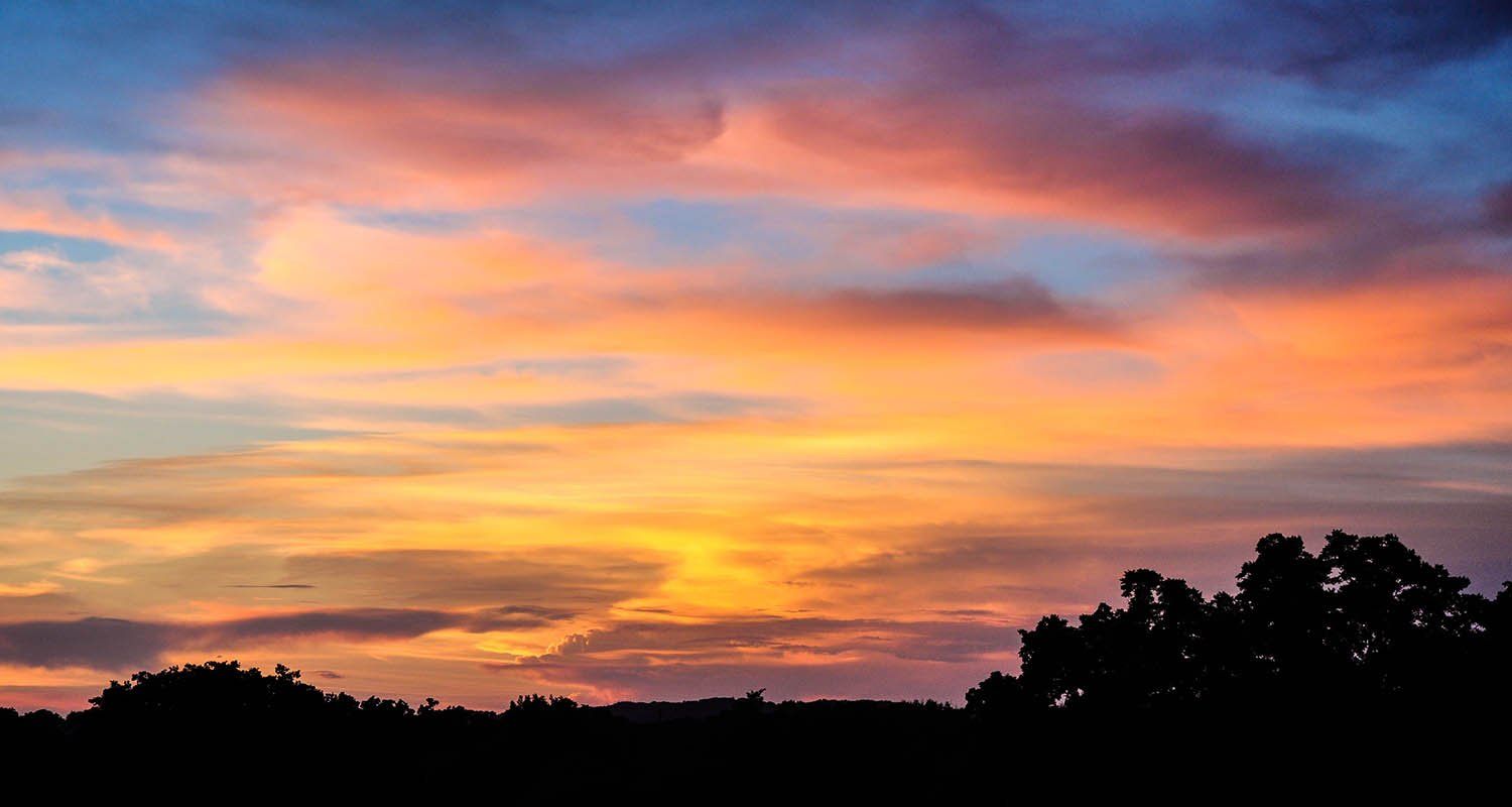 A sunset with trees in the foreground and a colorful sky