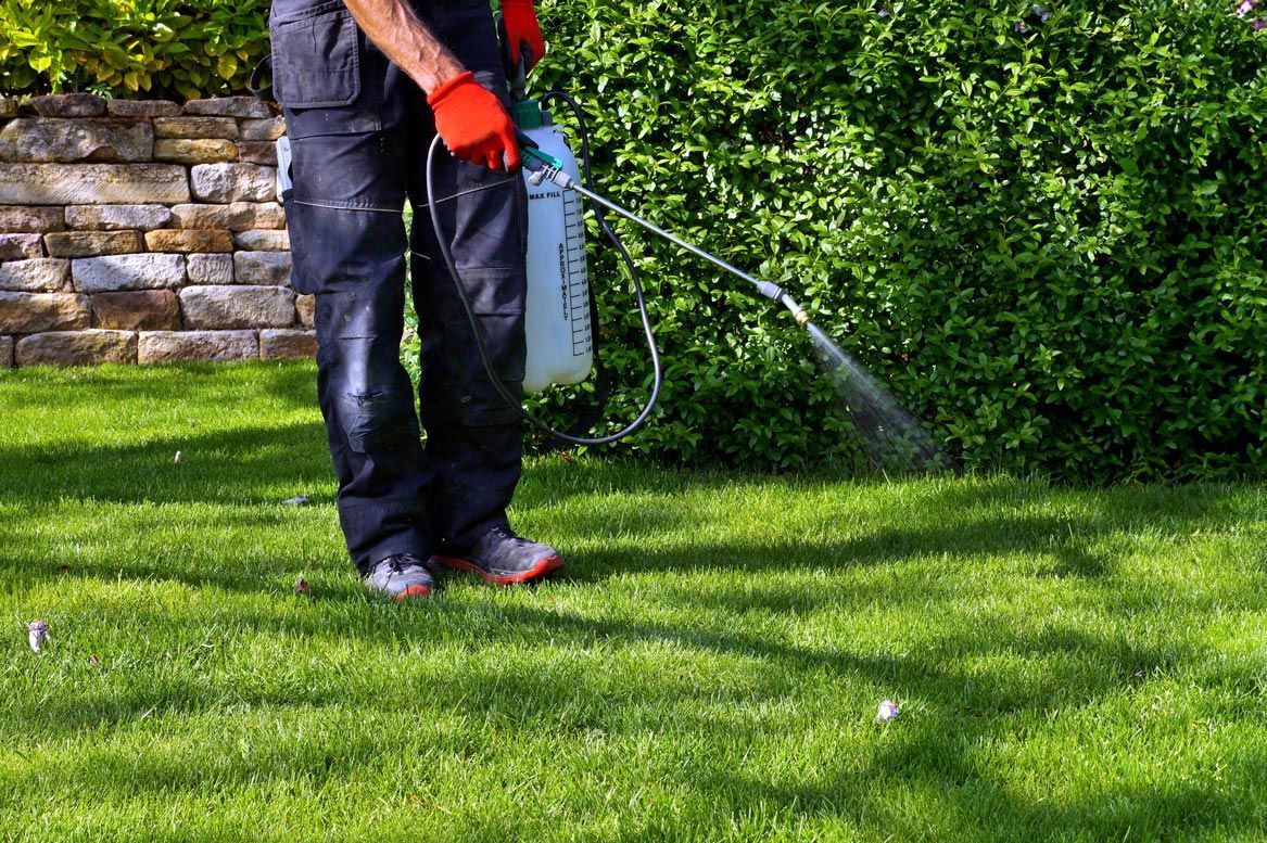 A man is spraying a lawn with a sprayer.
