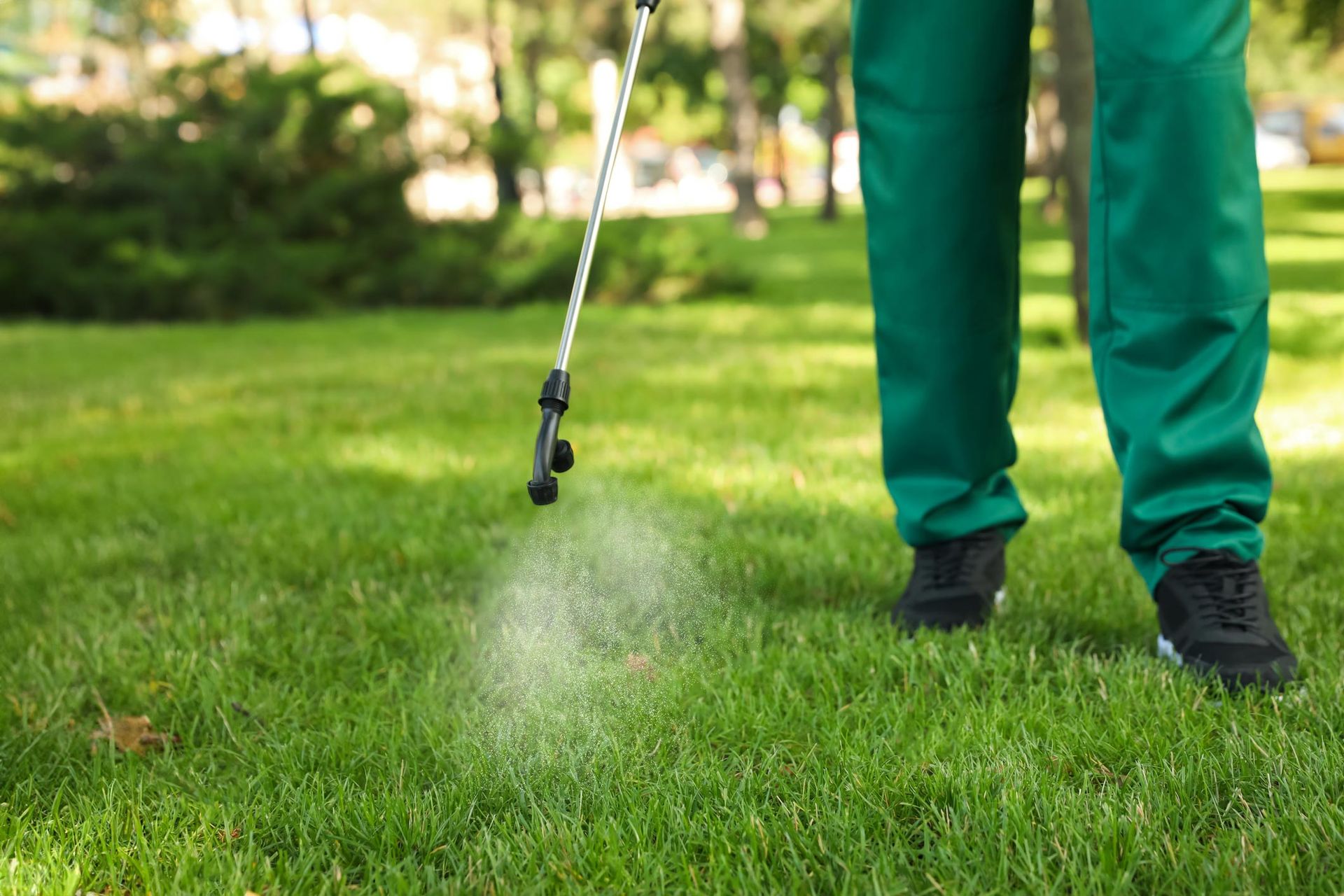 A person is spraying a lawn with a sprayer.