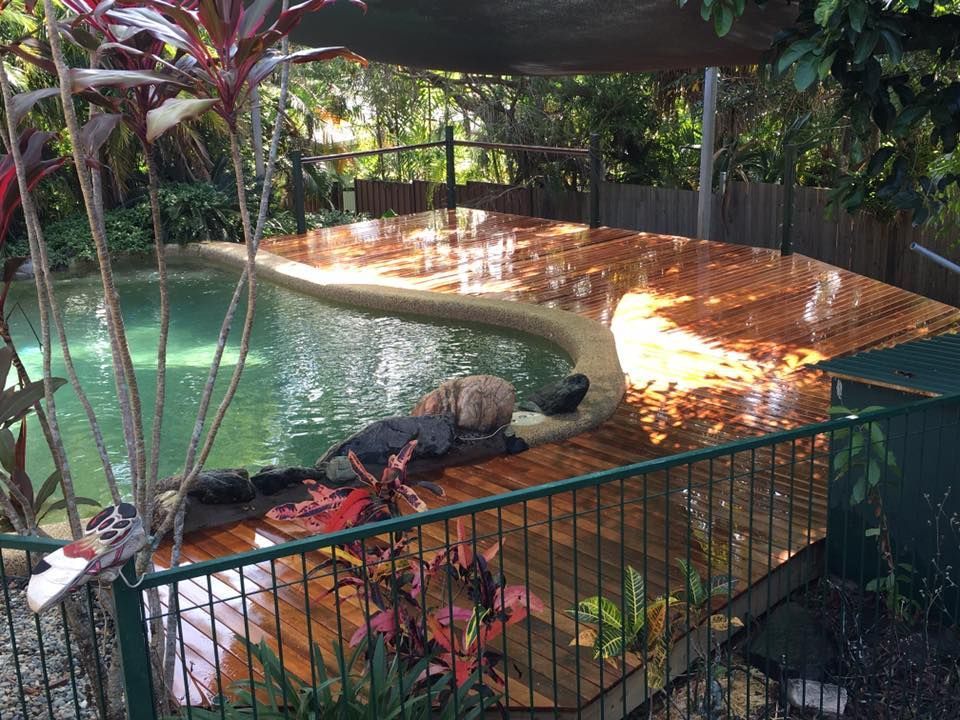 A Dog is Laying on a Wooden Deck Next to a Swimming Pool — NGK Constructions In Freshwater, QLD