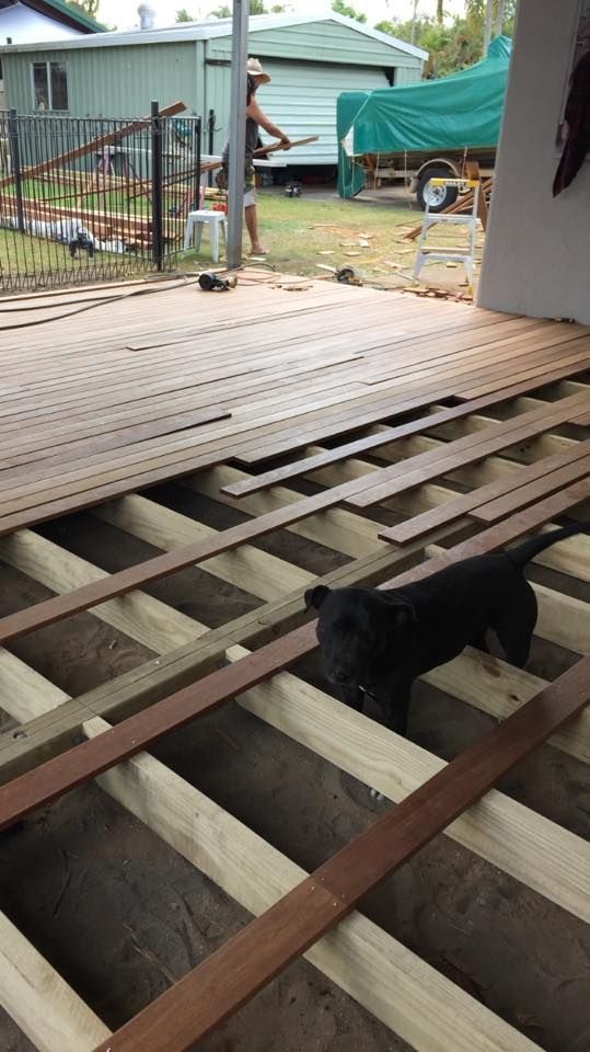 A Dog is Standing on a Wooden Deck Under Construction — NGK Constructions In Freshwater, QLD