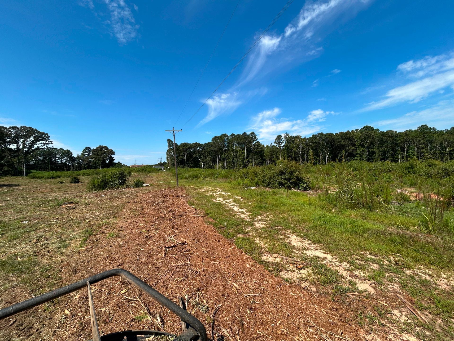 Dirt path through a field with trees and a bright blue sky.