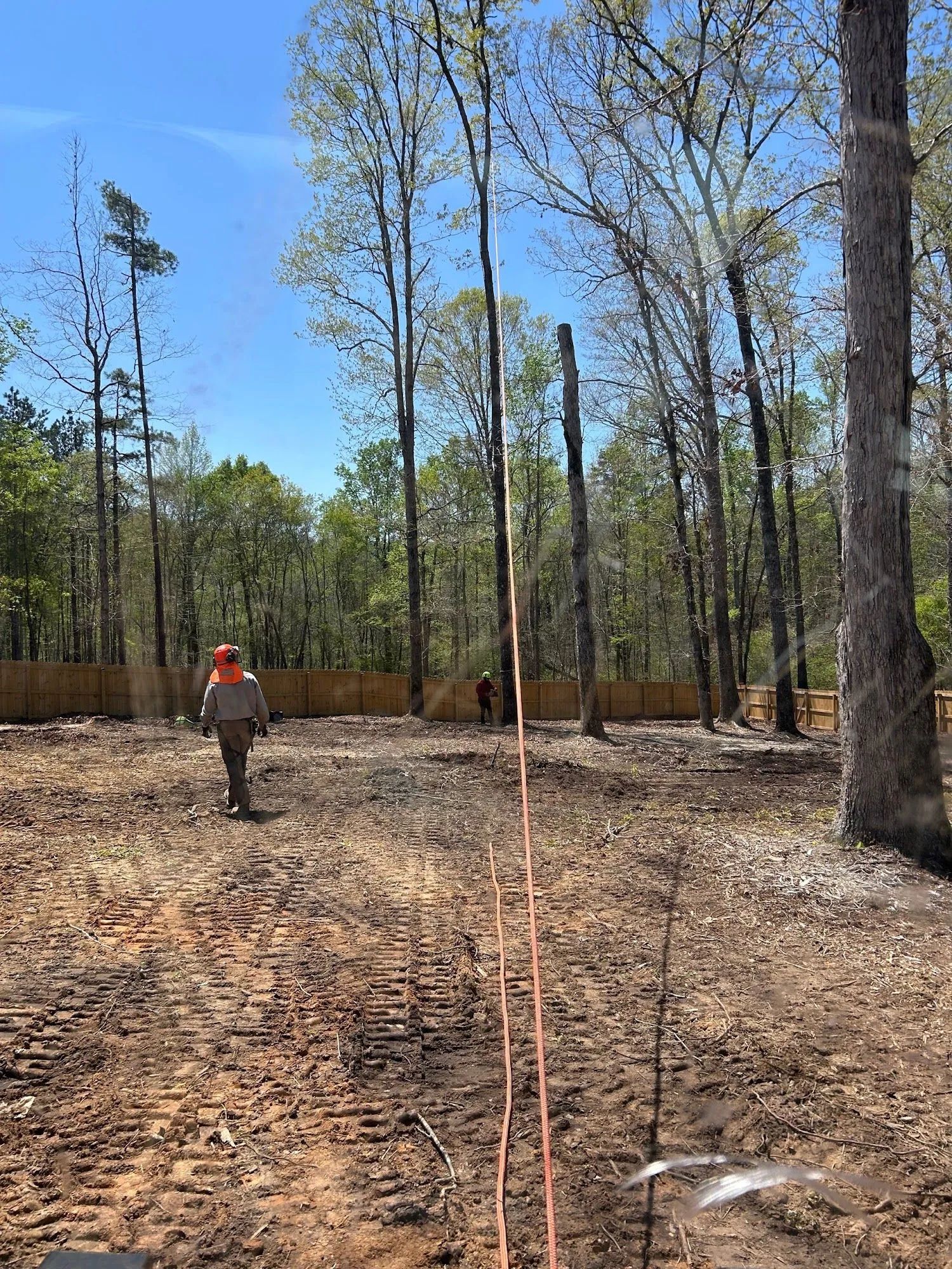 A person in safety gear walks on a cleared construction site with trees and a fence.
