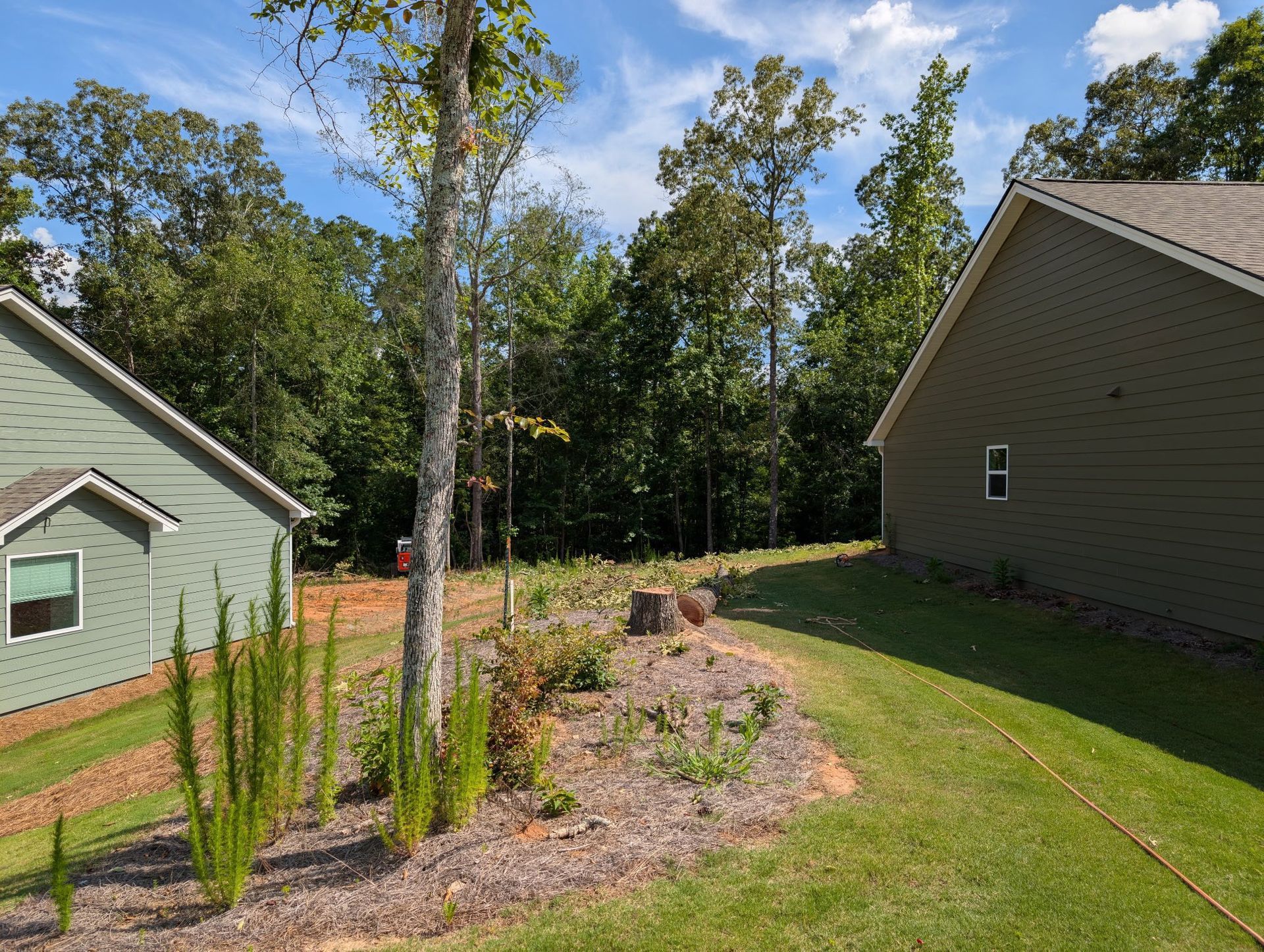 Green houses flank a small garden with trees and shrubs against a backdrop of a wooded area.