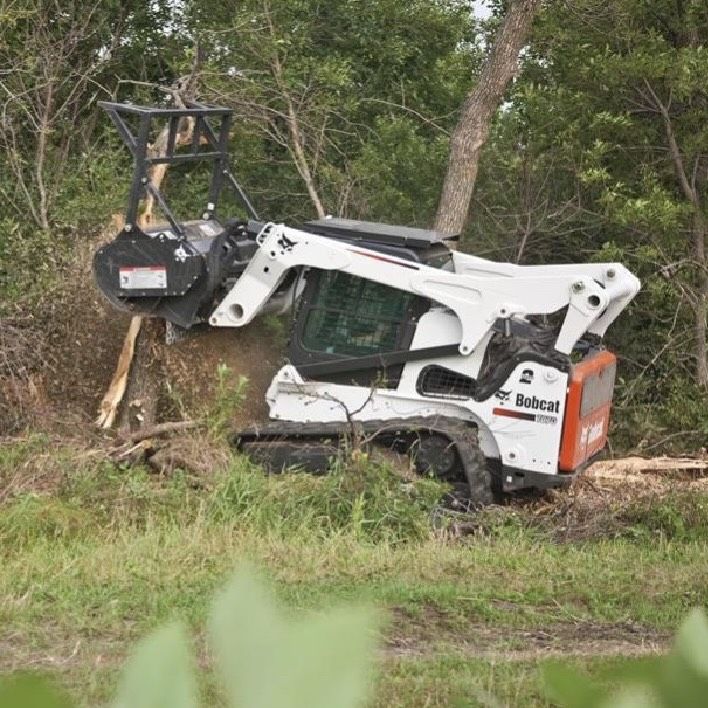 White Bobcat skid-steer with a brush cutter attachment cutting down a tree in a grassy area with trees in the background.