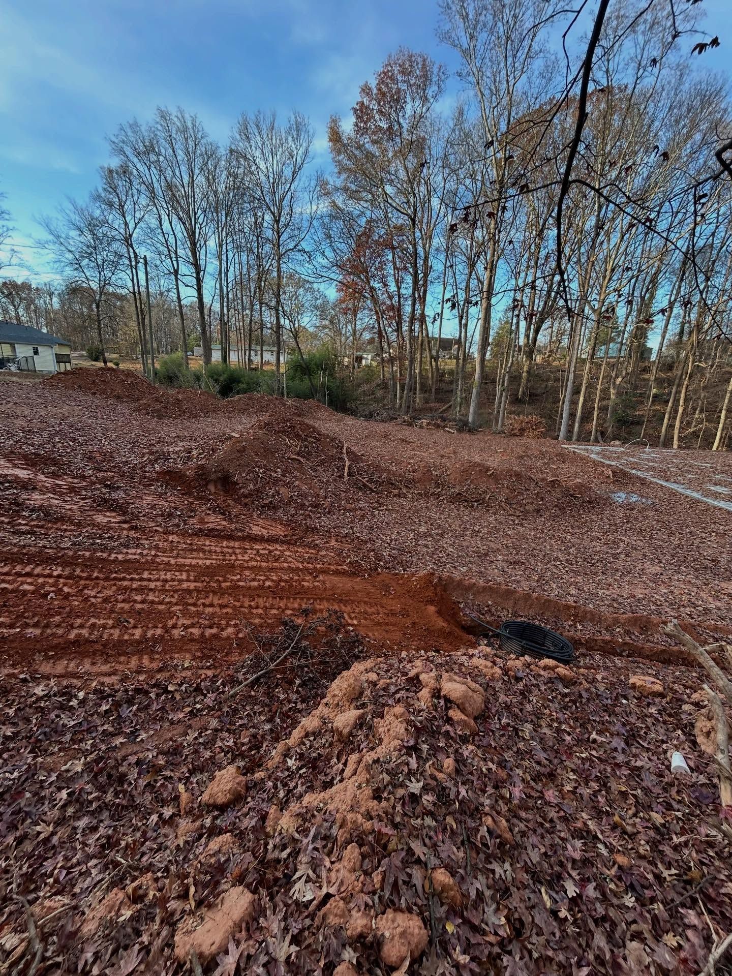 Brown dirt terrain with bare trees and a blue sky in the background.