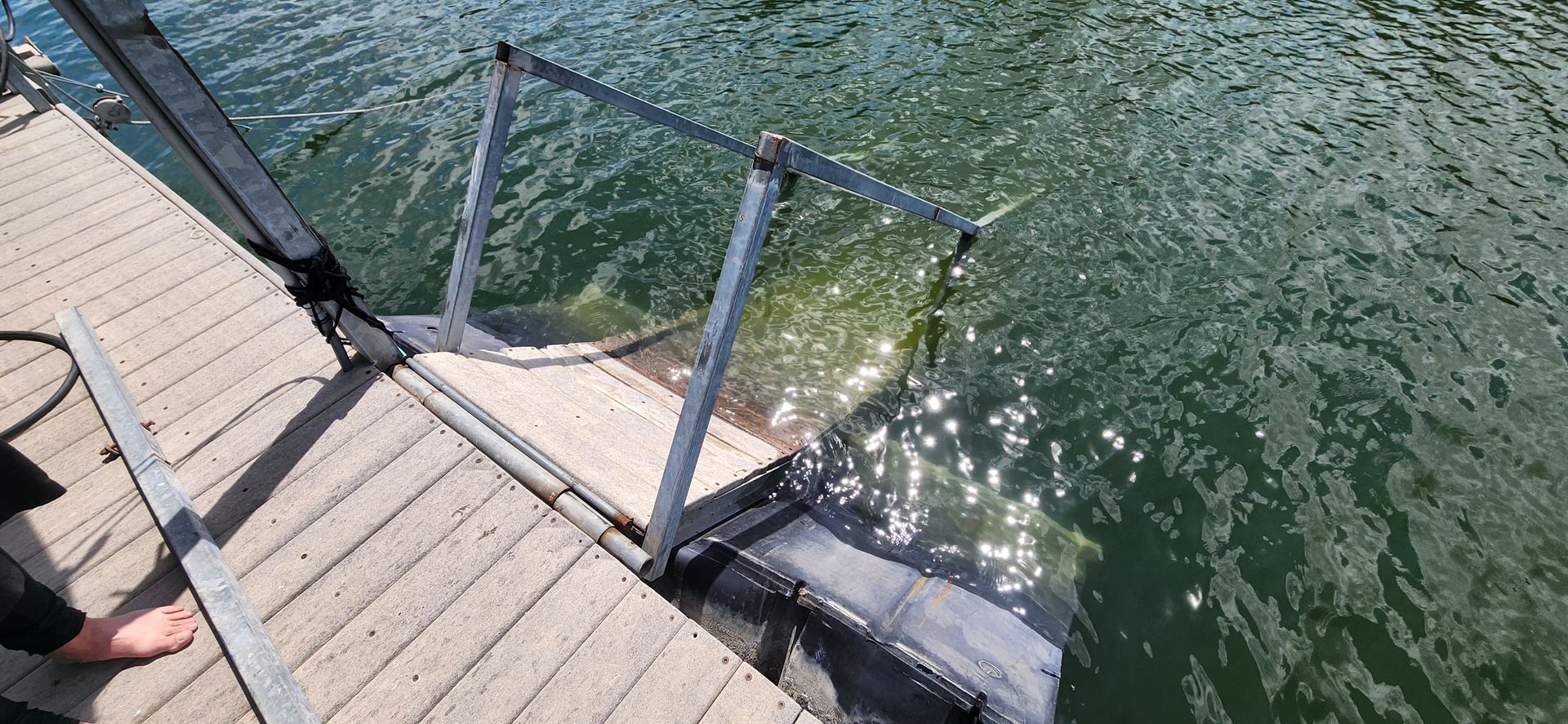 Wooden dock with a metal ladder leading into dark water. Sunlight reflects on the water's surface.